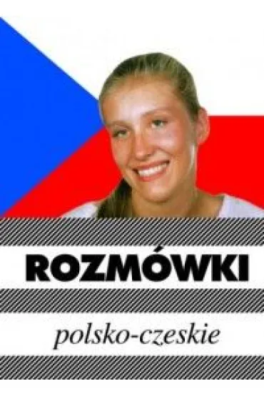 Rozm�wki polsko-czeskie - Piotr Wrzosek