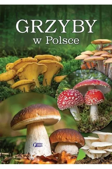 Grzyby w Polsce