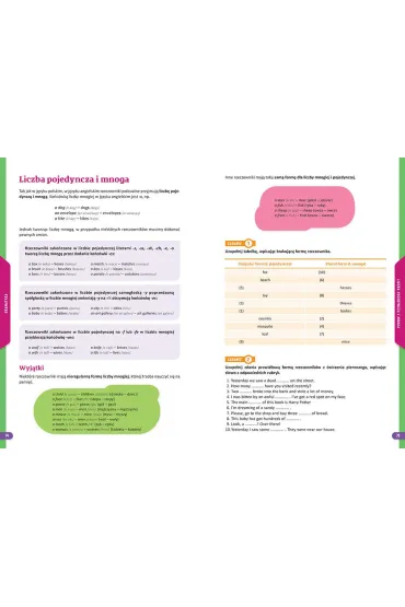 Repetytorium. Szko�a podstawowa. J�zyk angielski - Anna Witkowska, Monika Kocio�ek, Paulina  Me�gie�-Szostak