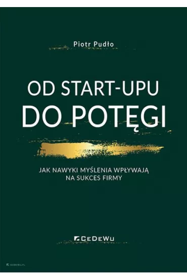 Od start-upu do pot�gi - Piotr Pud�o