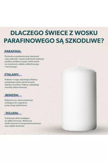 Hagi Cosmetics �wieca sojowa Korzenna Pomara�cza 230 g