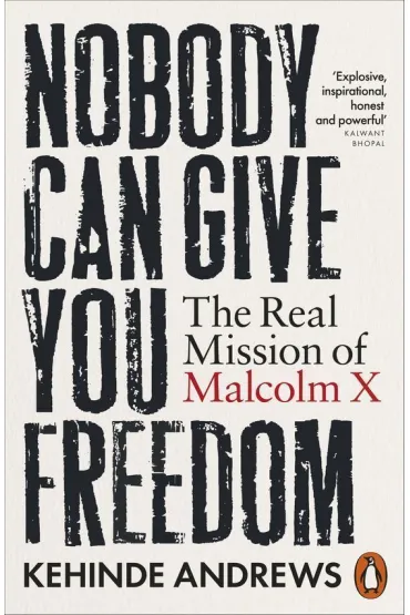 Nobody Can Give You Freedom - Andrews Kehinde