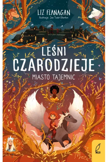 Leni czarodzieje. Miasto tajemnic. Tom 2 - Liz Flanagan