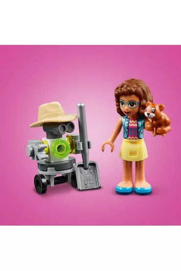 LEGO Friends Kwiatowy ogr�d Olivii 41425