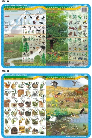 Visual System Podk�adka edukacyjna. Pi�trowo�� w g�rach i lesie