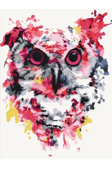 Brushme Malowanie po numerach - Sowa w kolorach 40x50cm