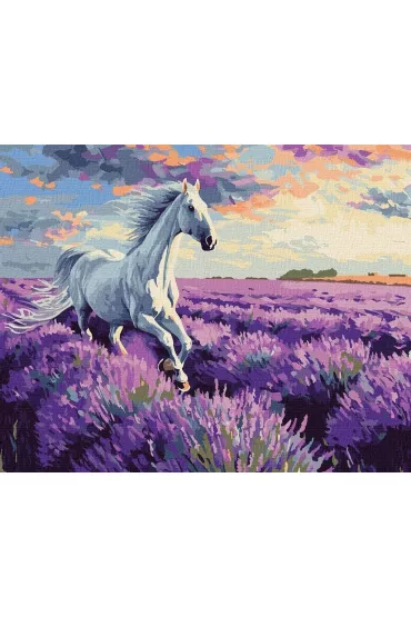 Ideyka Malowanie po numerach - W lawendowych polach 40x50cm