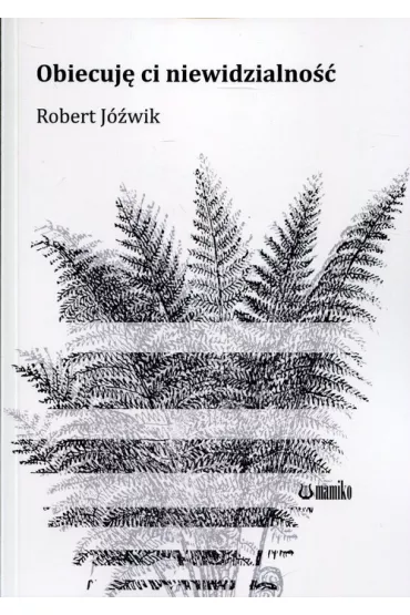 Obiecuj� ci niewidzialno�� - Robert J�wik