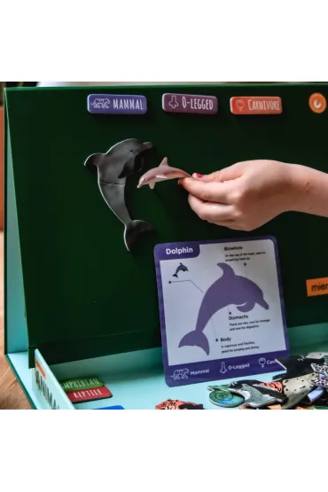 Puzzle Magnetyczne Wszystko o zwierz�tach mierEdu