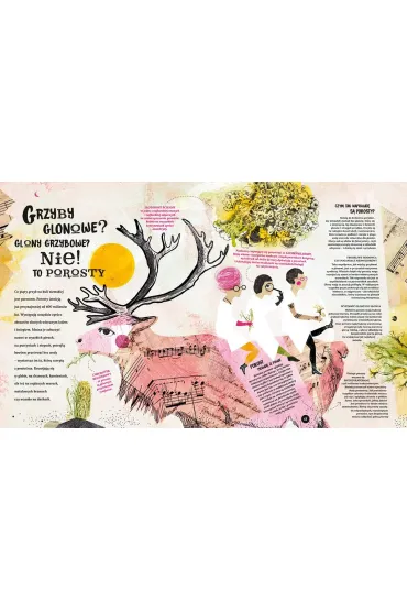 Grzyby - Liliana Fabisi�ska, Asia Gwis
