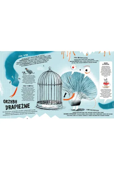 Grzyby - Liliana Fabisi�ska, Asia Gwis
