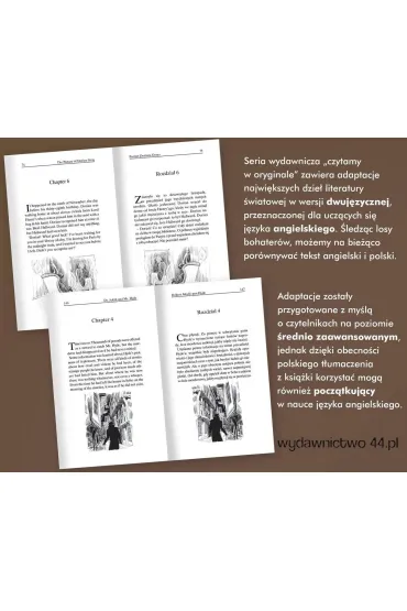 Szale�stwo i zbrodnia. Czytamy w oryginale (barwione brzegi) - Robert Louis Stevenson, Oscar Wilde