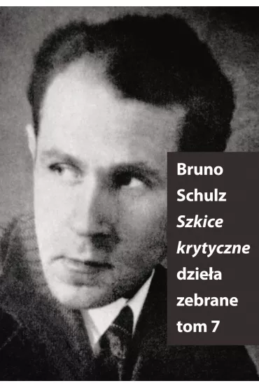 eBook Szkice Krytyczne mobi epub - Bruno Schulz