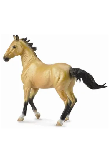 Klacz Akhal Teke Buckskin