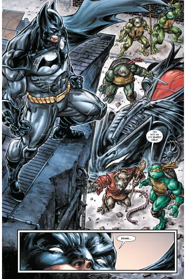 Batman. Wojownicze ��wie Ninja - James Tynion IV, Ryan  Ferrier, Freddie E. Williams II