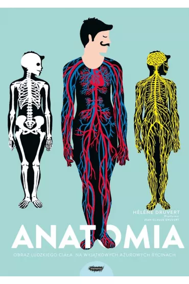 Anatomia. Obraz ludzkiego cia�a na wyj�tkowych a�urowych rycinach - Helene Druvert