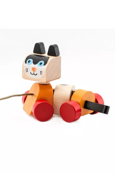 Kot spacerujcy Cubika
