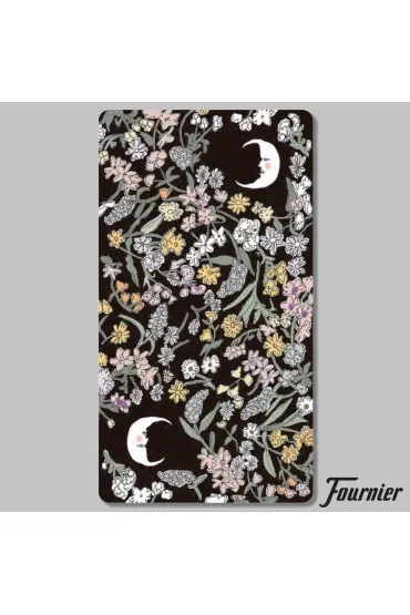 Tarot Carlotydes