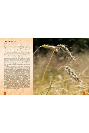 Kuchnia S�owian czyli o poszukiwaniu dawnych smak�w - Hanna Lis, Pawe� Lis