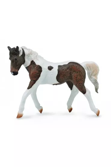 Collecta. Klacz rasy Bashkir Curly
