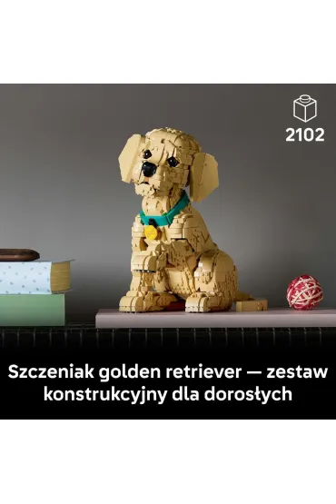 LEGO Icons Szczeniak golden retriever 11384