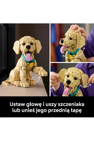 LEGO Icons Szczeniak golden retriever 11384