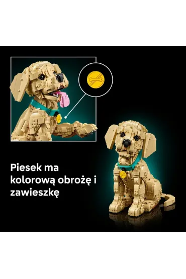 LEGO Icons Szczeniak golden retriever 11384