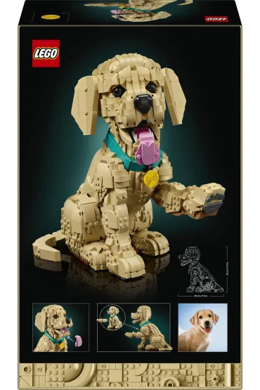 LEGO Icons Szczeniak golden retriever 11384