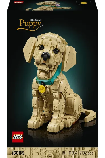 LEGO Icons Szczeniak golden retriever 11384