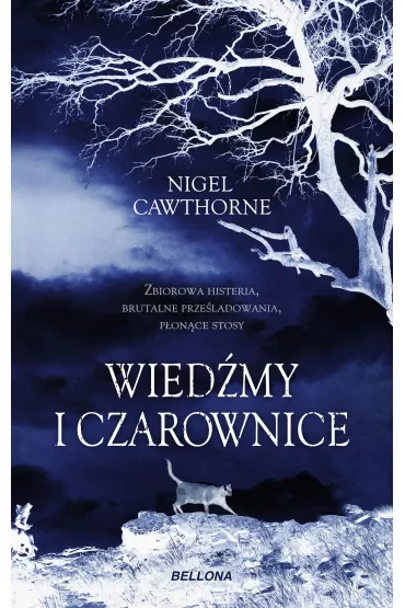 Wied�my i czarownice - Nigel Cawthorne