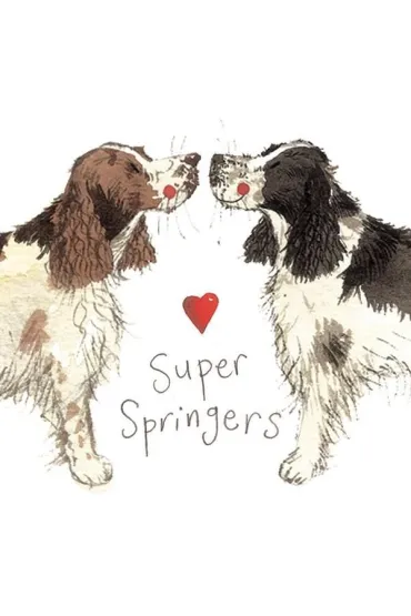 Alex Clark Magnes FM02 Springer spaniel