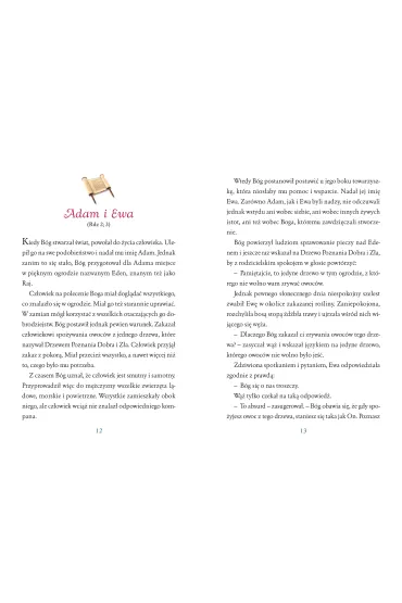 Ksi��ka B5 OP. TW Biblia dla dzieci SKRZAT 79982 SK - Bo�ena  Bobrzyk-Stok�osa