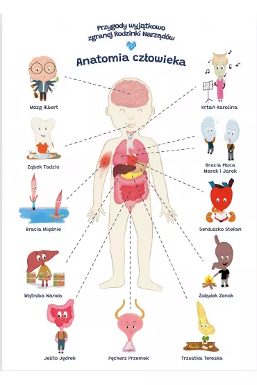 Plakat edukacyjny. Anatomia cz�owiek A2