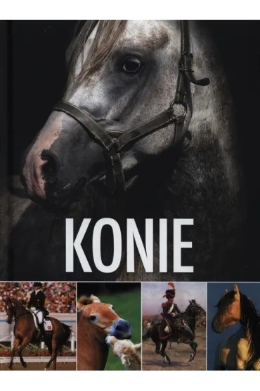 Konie (OT)