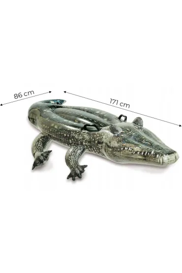 Intex Aligator do p�ywania