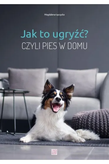 Jak to ugry��? Czyli pies w domu - Magdalena ��czycka