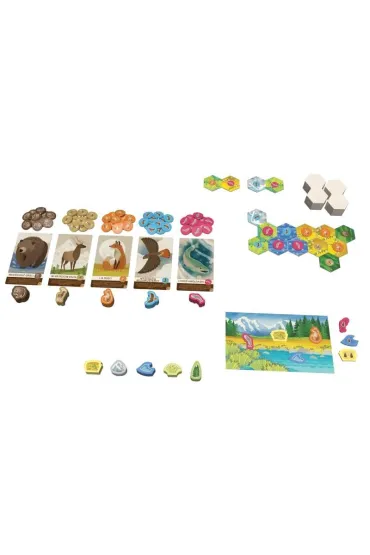 Kaskadia Junior Lucky Duck Games Polska