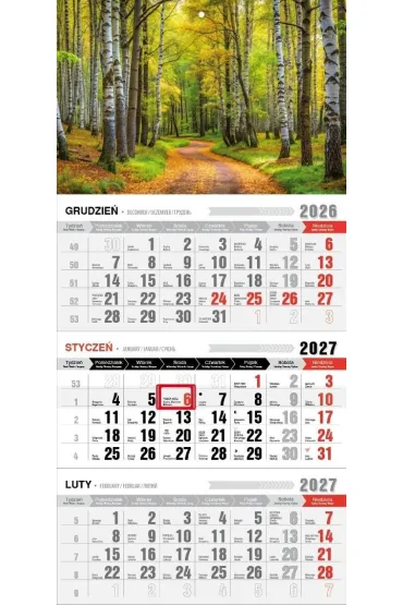 Kalendarz 2027 tr�jdzielny ekonomiczny las