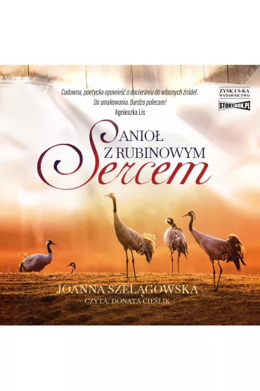 Audiobook Anio� z rubinowym sercem CD - Joanna  Szel�gowska