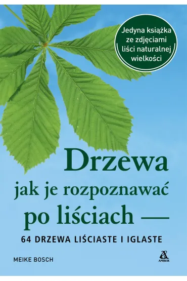 Drzewa - jak je rozpoznawa� po li�ciach - Meike Bosch