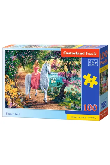 Puzzle 100 el. Sekretny szlak Castorland