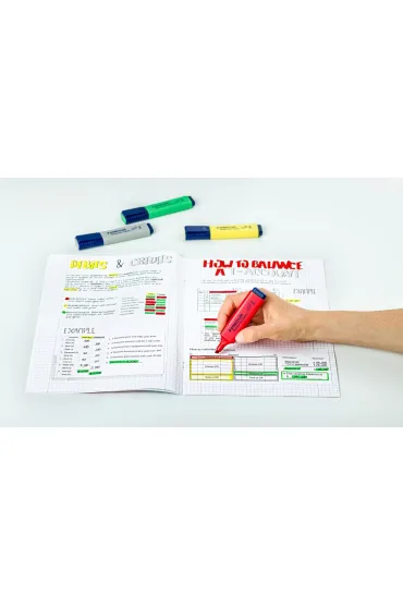 Staedtler Zakre�lacz Textsurfer Classic 20 kolor�w