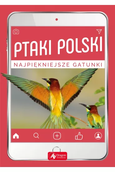 Ptaki Polski Najpi�kniejsze gatunki - Anna Przyby�owicz, �ukasz Przyby�owicz