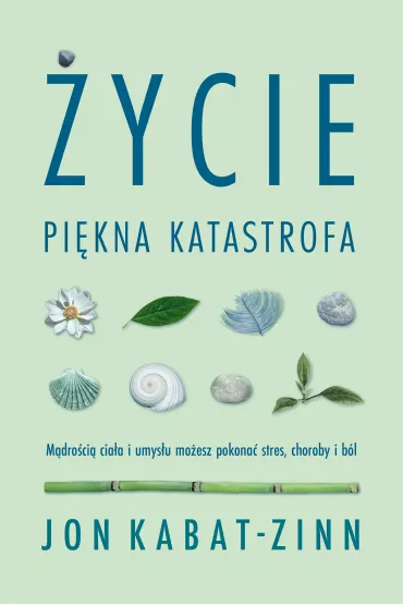 ycie, pikna katastrofa - Jon Kabat Zinn