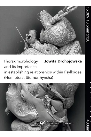 Thorax morphology and its importance... - Jowita Drohojowska