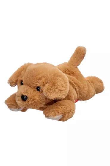 Labrador le��cy 35cm Beppe