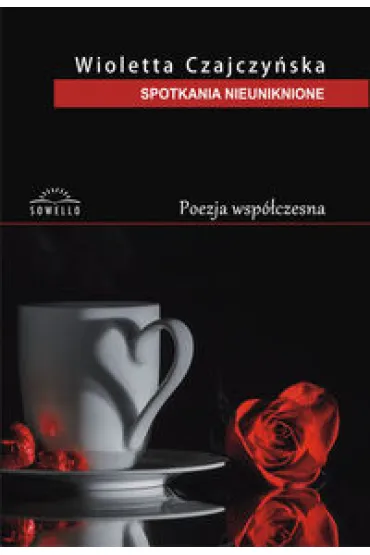 Spotkania Nieuniknione - Wioletta Czajczy�ska