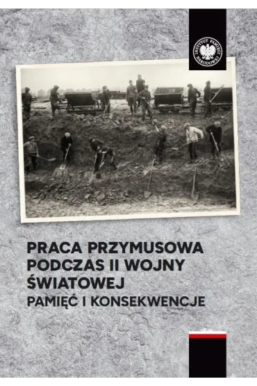 Praca przymusowa podczas II wojny �wiatowej - Wojciech  Wichert, Tomasz  �lepowro�ski