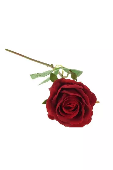 Adar R�a piankowa 52cm