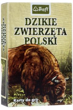 Dzikie Zwierzta Polski